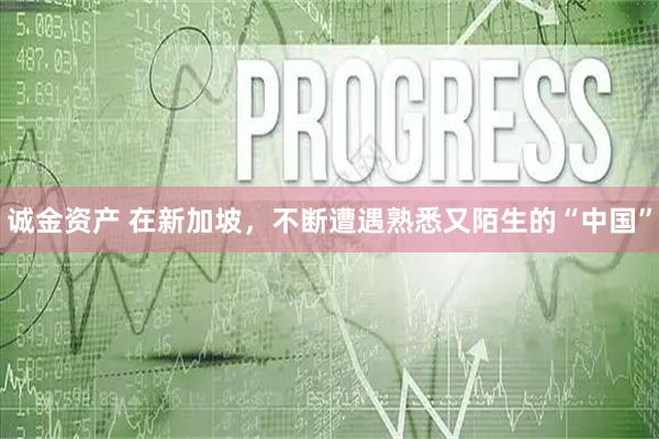 诚金资产 在新加坡，不断遭遇熟悉又陌生的“中国”